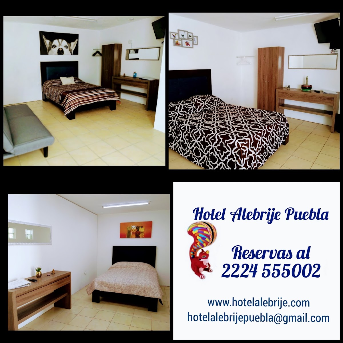 Hostel Alebrije Puebla photo 3