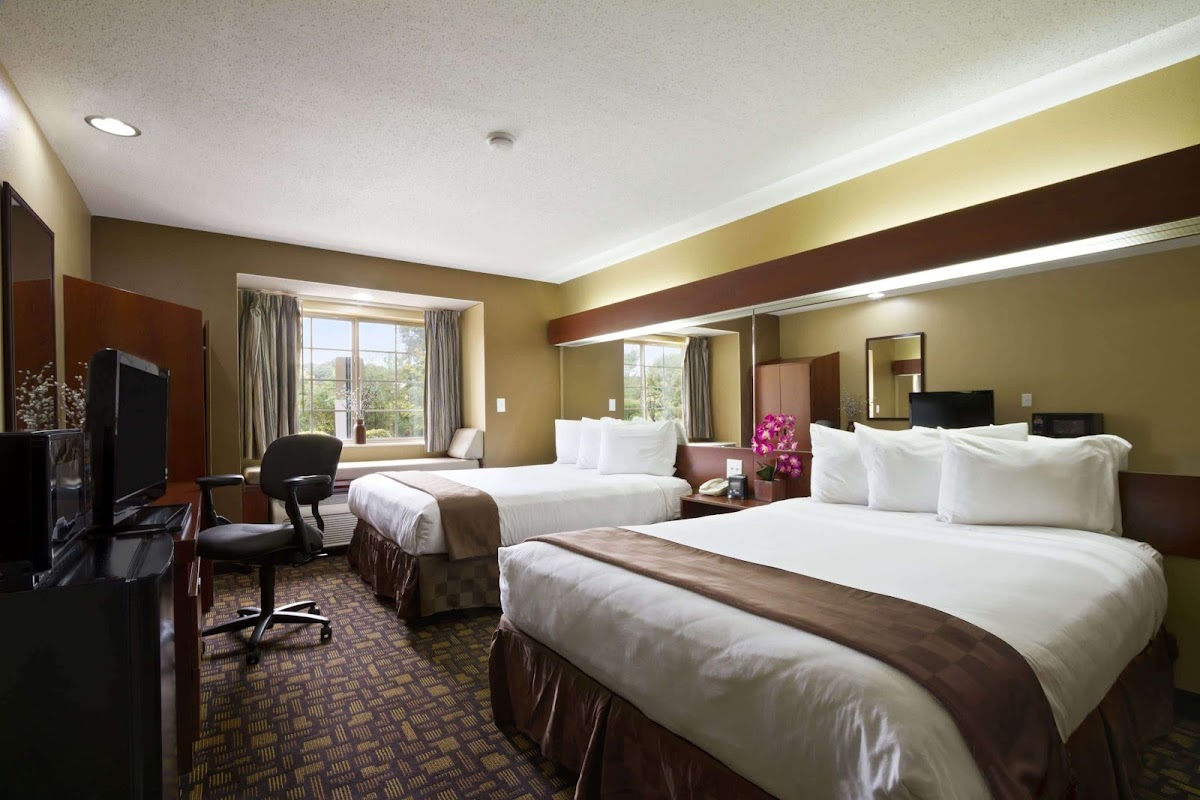 Microtel Inn & Suites by Wyndham Lithonia/Stone Mountain photo 2