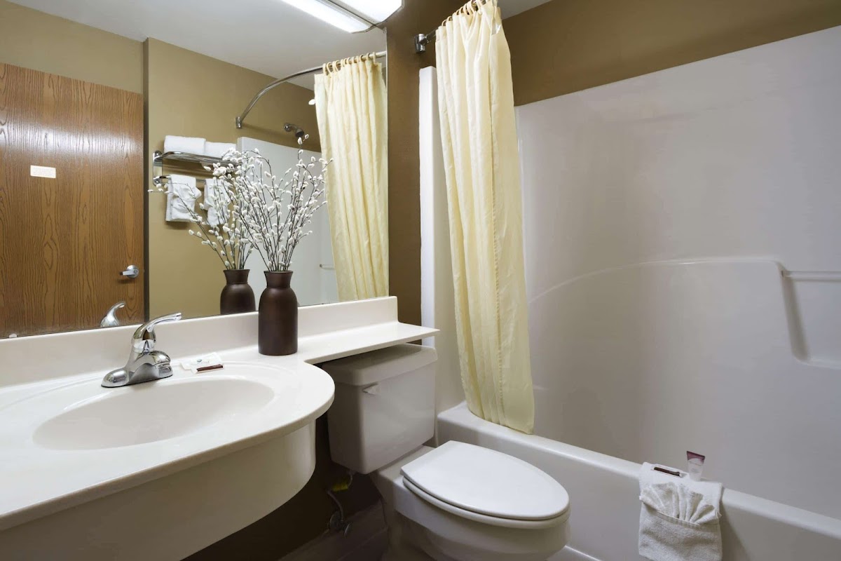 Microtel Inn & Suites by Wyndham Lithonia/Stone Mountain photo 3