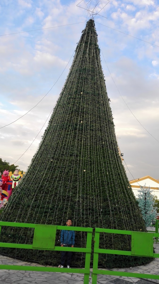 General Gustavo Rojas Pinilla Park