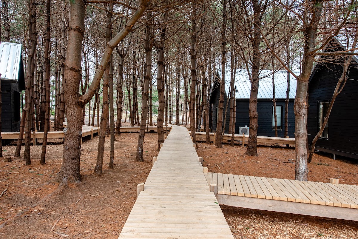 Black Forest Cabins