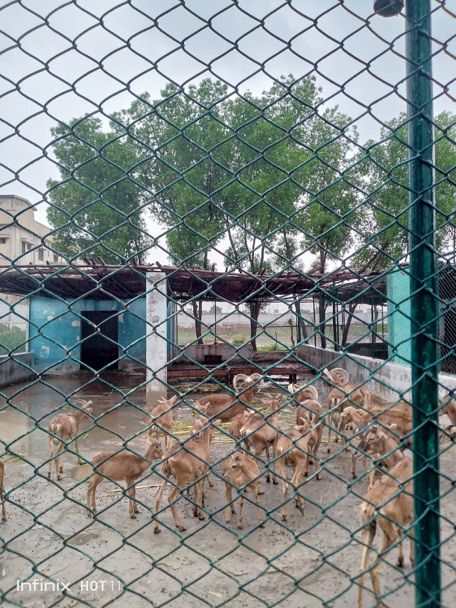 Rani Bagh Zoo