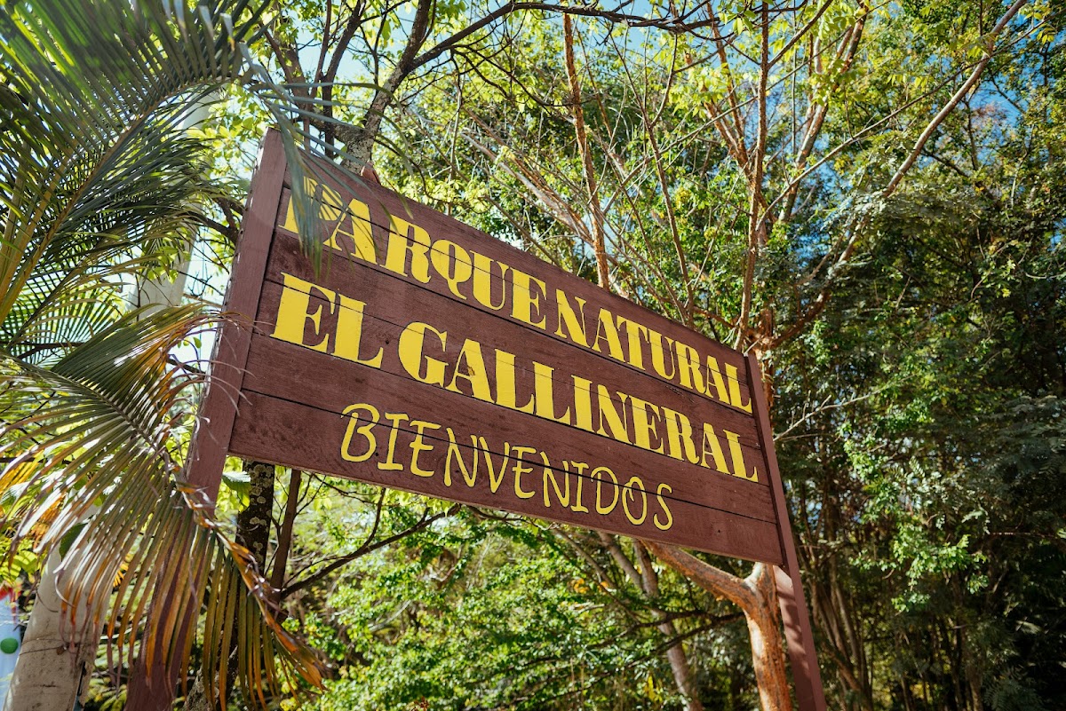El Gallineral Natural Park