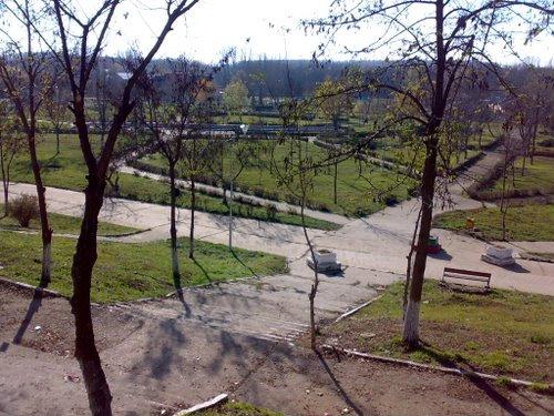 Parcul Dumbrava