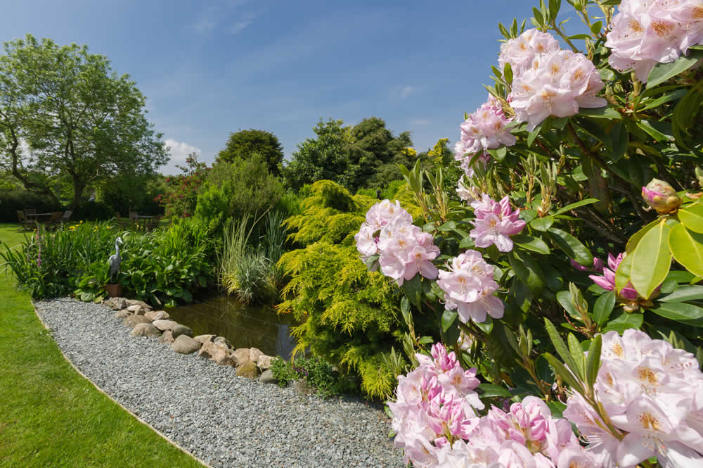 Ty'n Rhos Country House Hotel photo 2