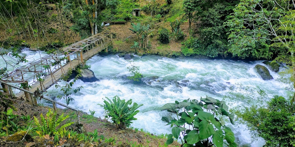 Reserva Natural Municipal De Rio Bravo