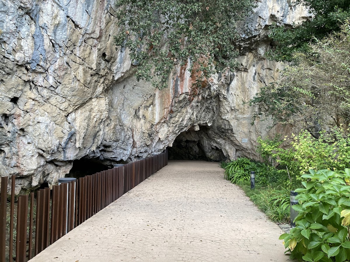 Tito Bustillo Cave