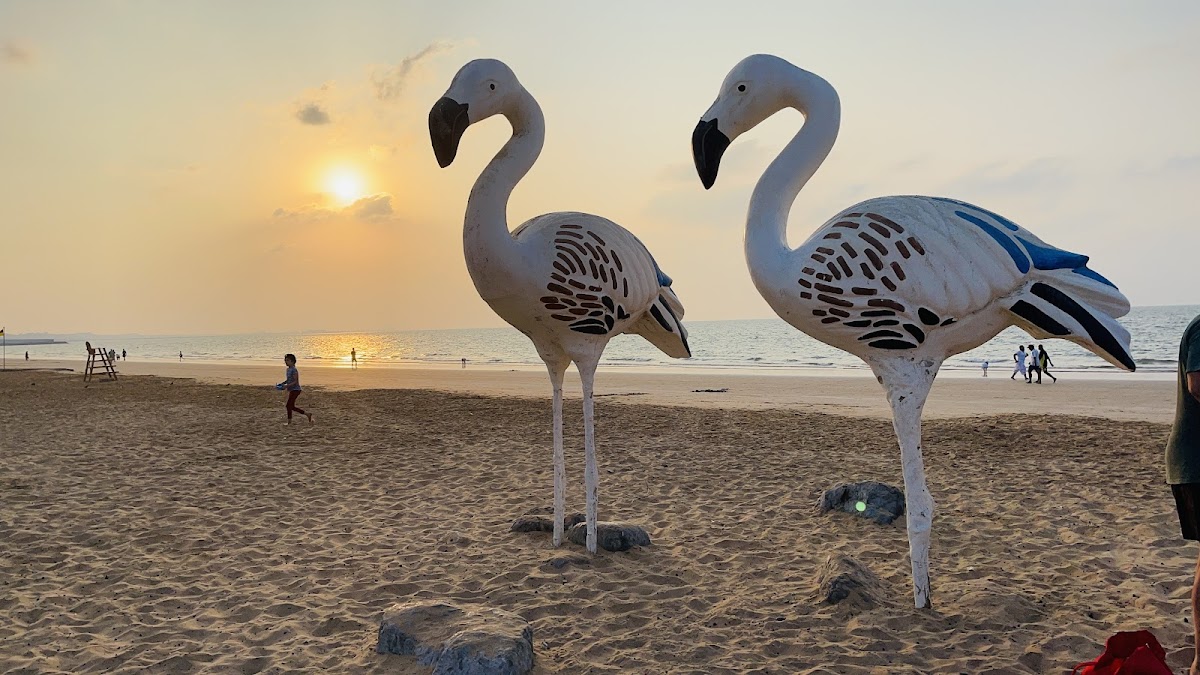 Flamingo Beach