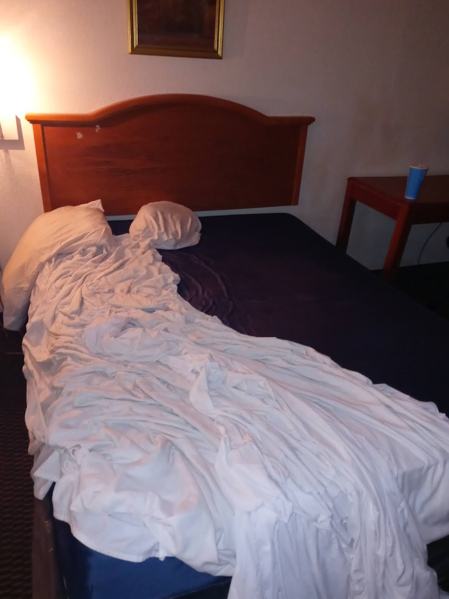 Cajun Inn photo 2