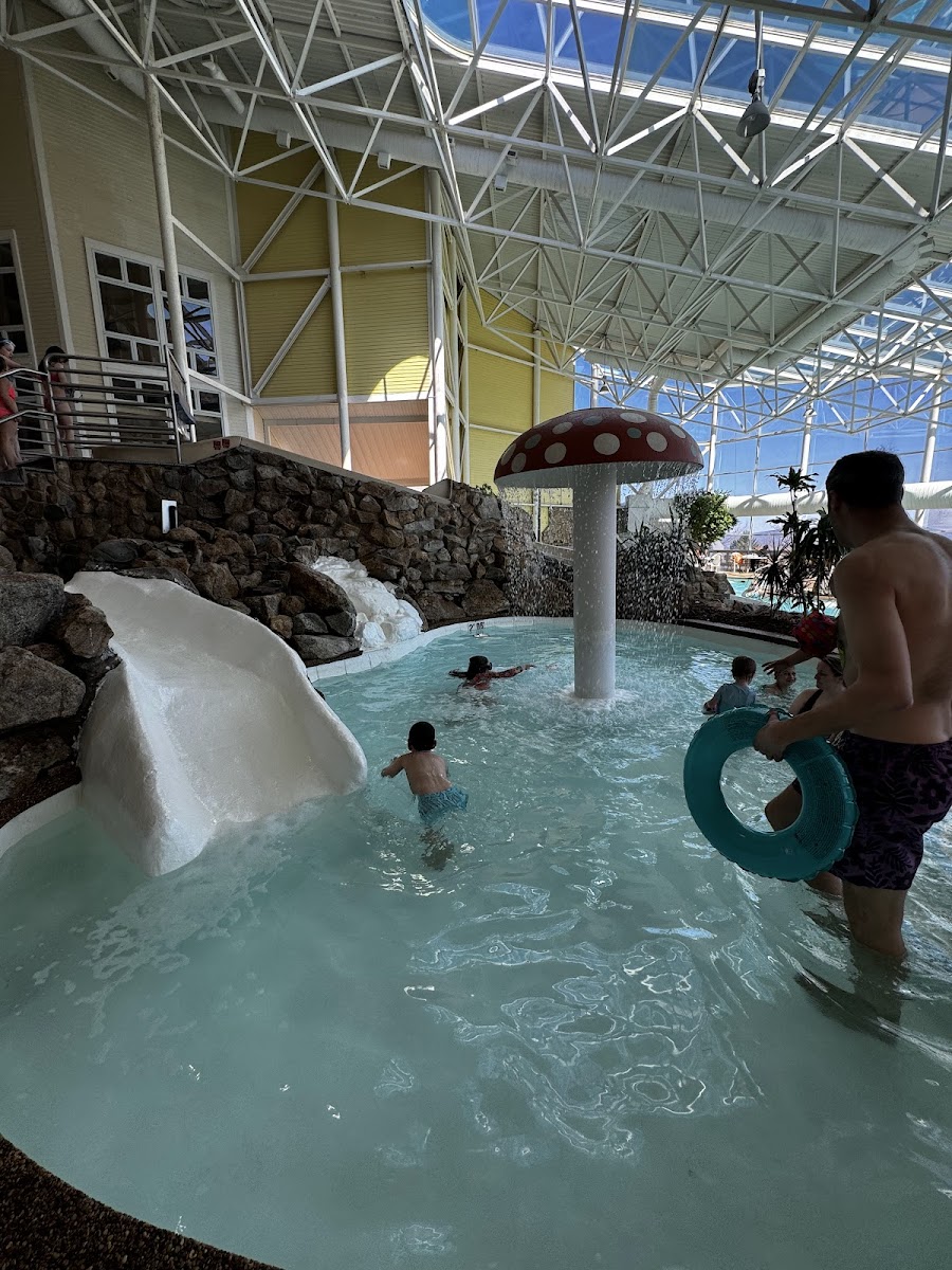 Path Resorts photo 2