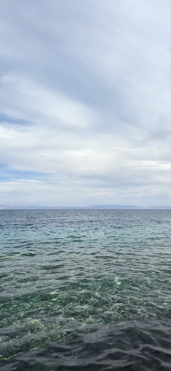 Mashraba dive site