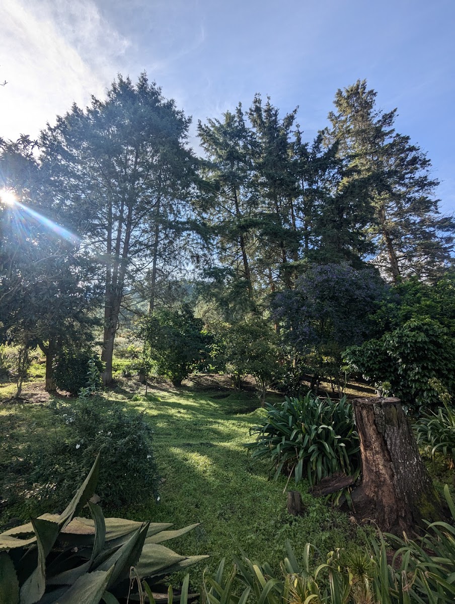 Rancho Epenche photo 3