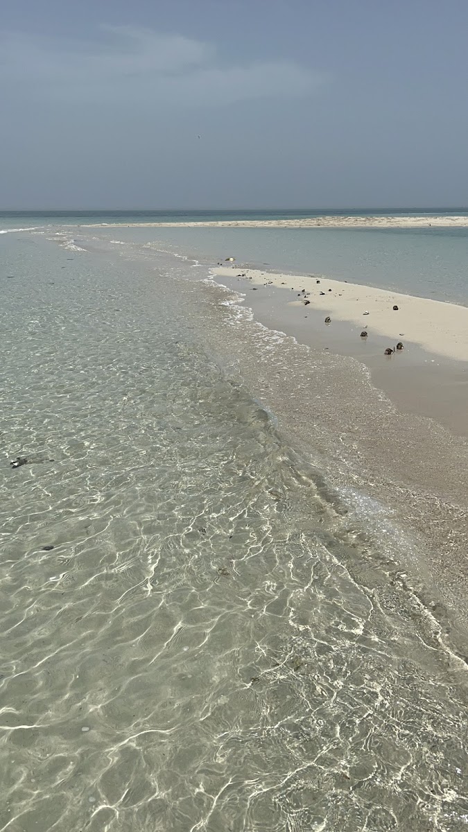 Al Haala Island