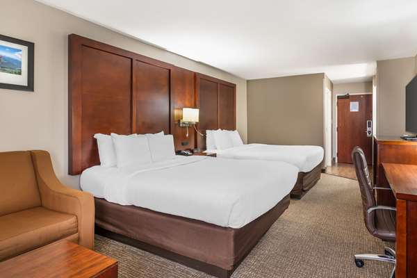 Comfort Inn & Suites Conway photo 2