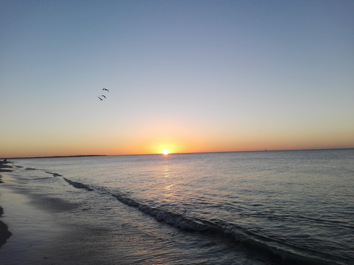 Playa Dorada
