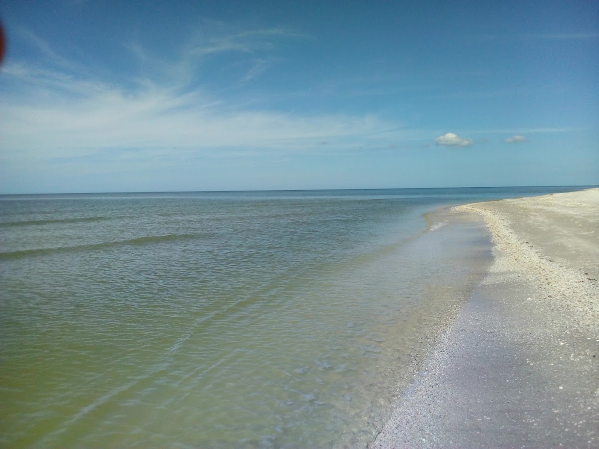 Playa Dorada photo 2