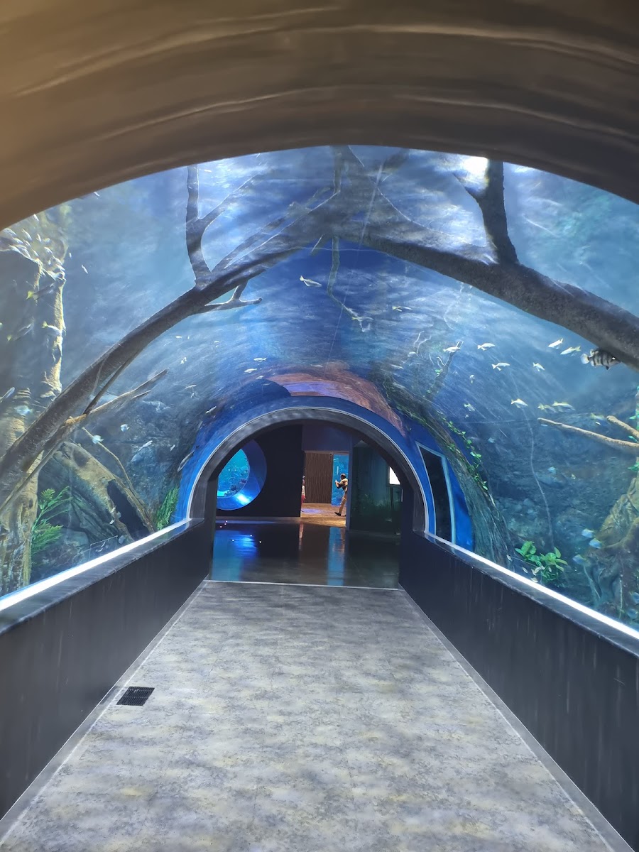 Oman Aquarium