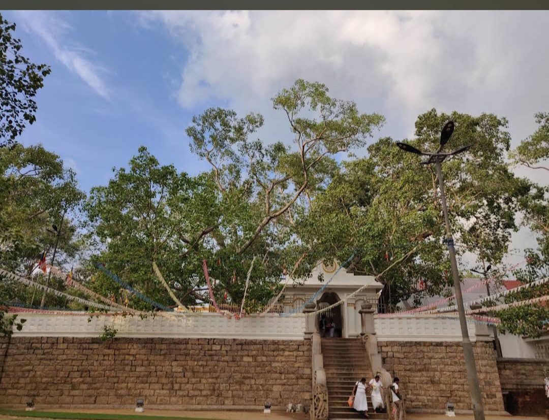 Jaya Sri Maha Bodhi