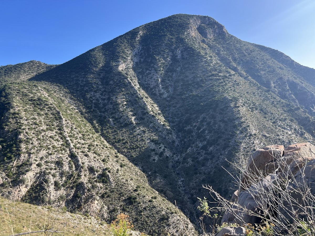 Cerro del 
