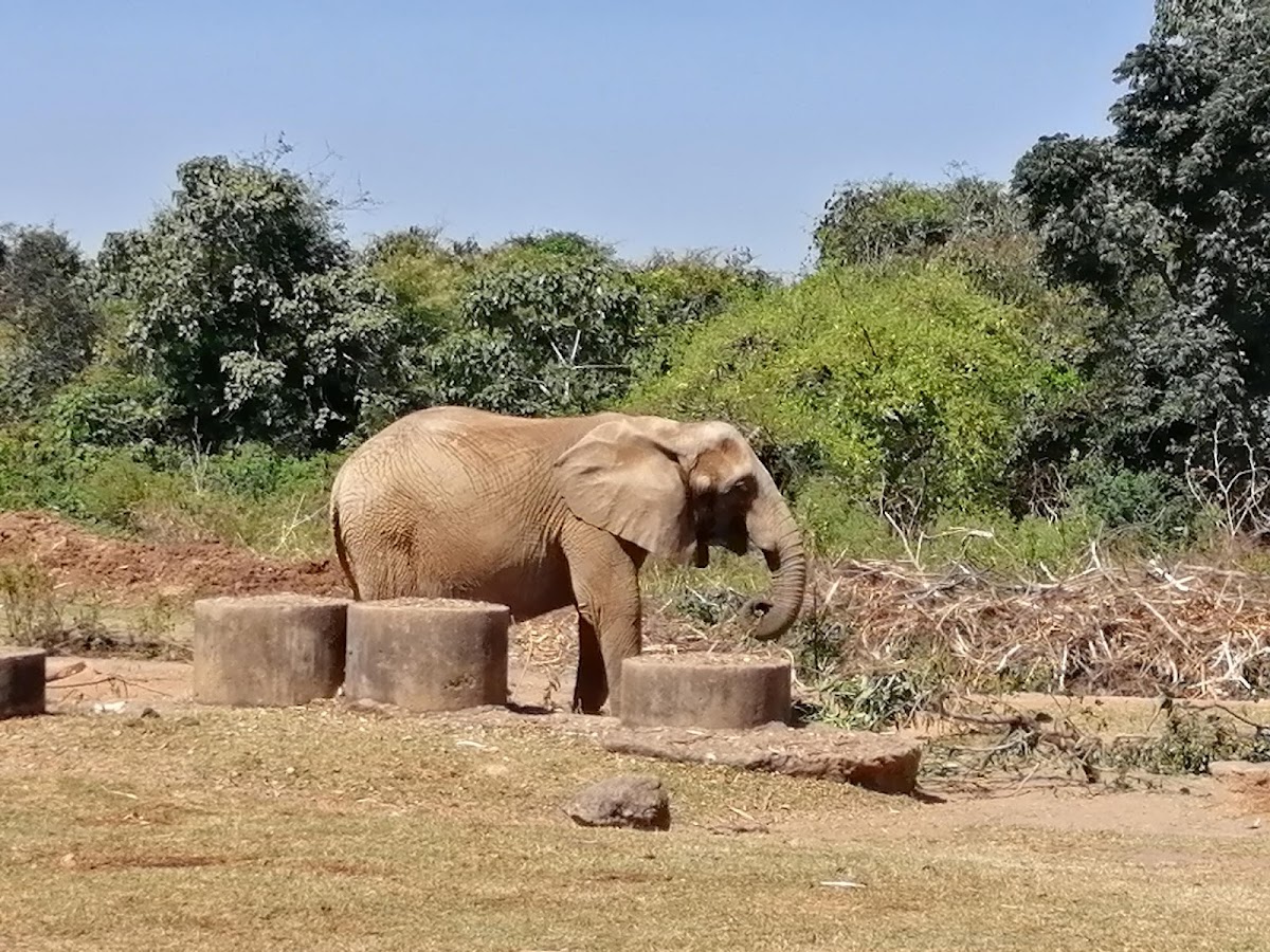 Jos Wildlife Park