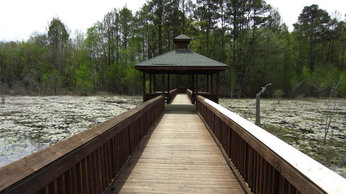 Rotary Lodge At Hinson Lake