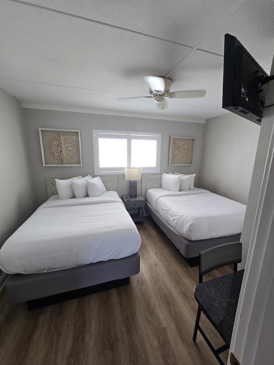 Bristol Plaza Oceanfront Resort Motel photo 2