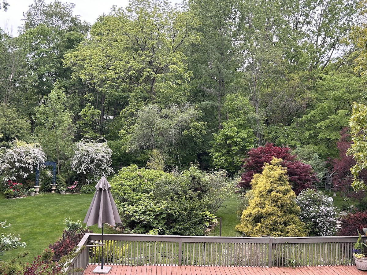At Home In The Woods Bed and Breakfast photo 2