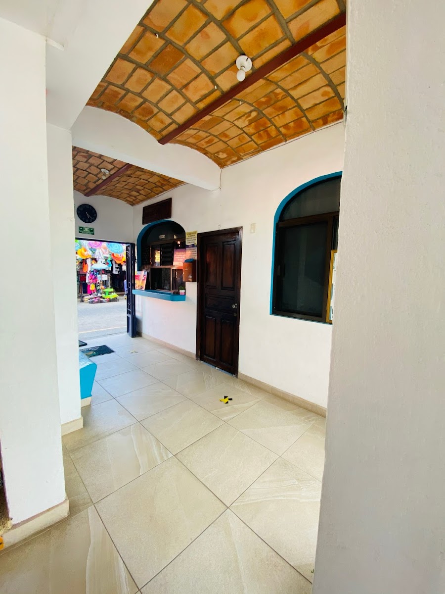Bungalows BRISAMAR photo 3