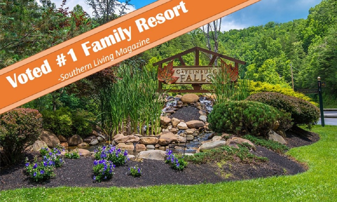 Homegrown Hideaways: Bearfoot in Smokies