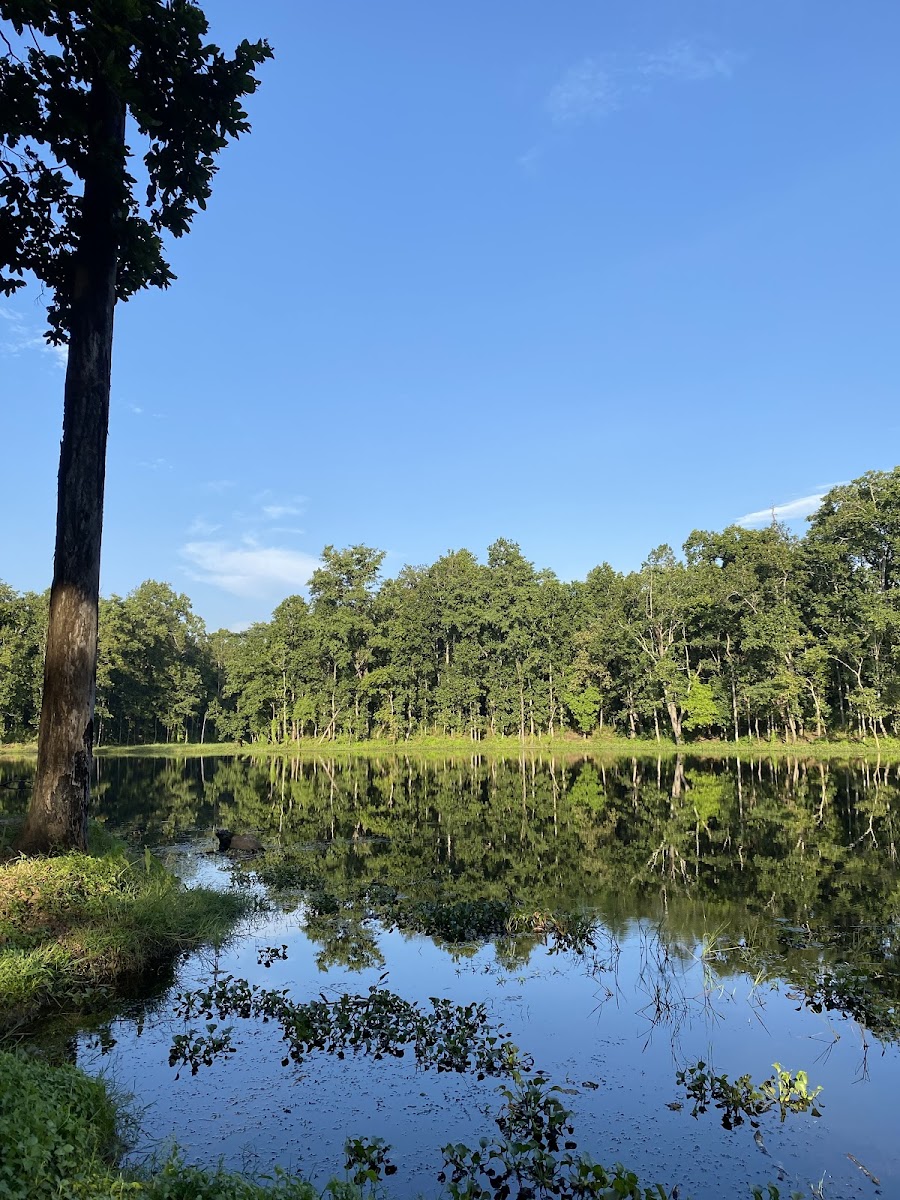 Bis Hazari Lake