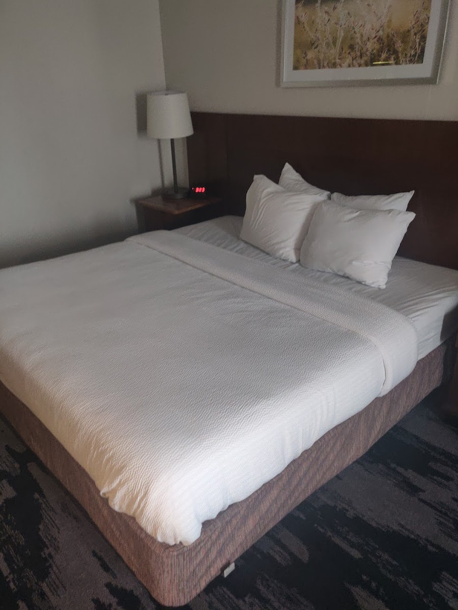 Fairfield by Marriott Inn & Suites Columbia Harbison photo 3