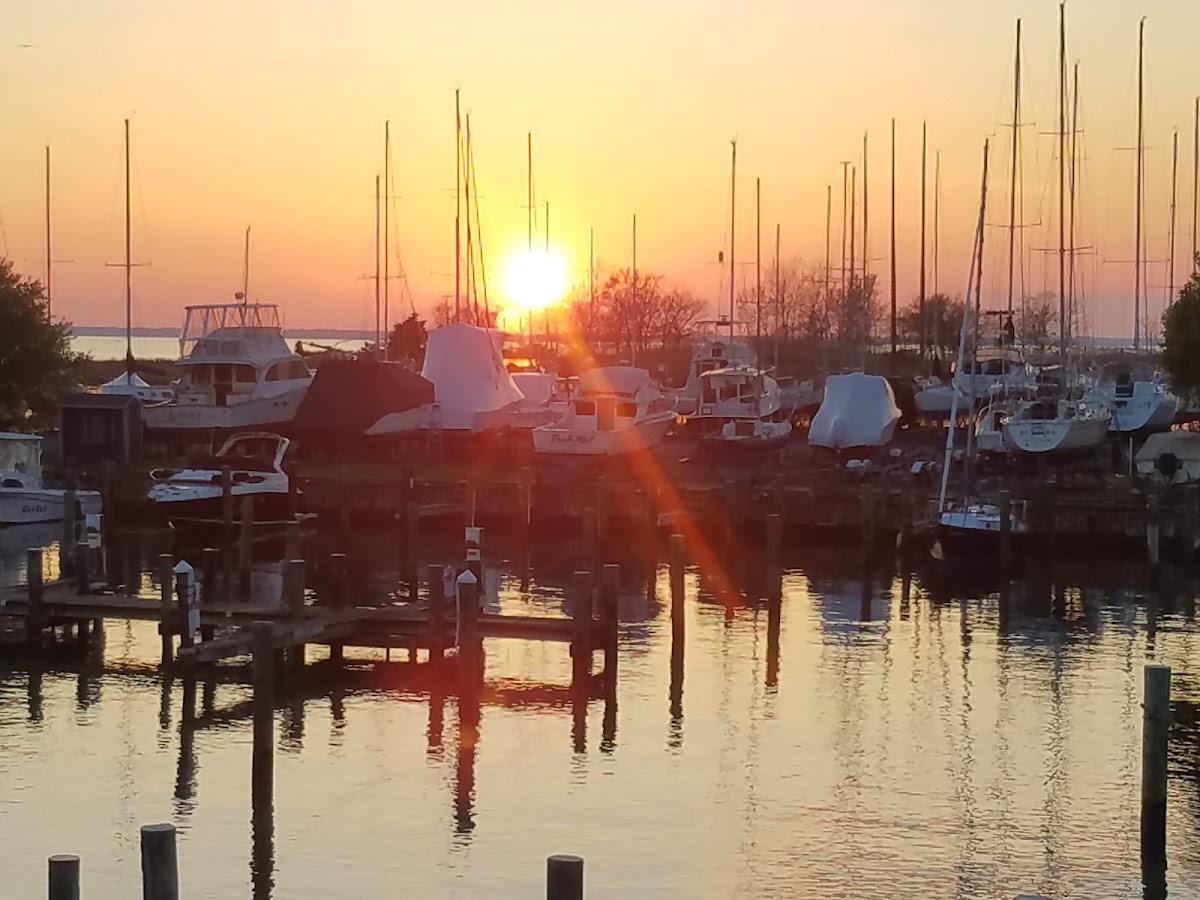 Knapp’s Narrows Marina & Inn photo 2
