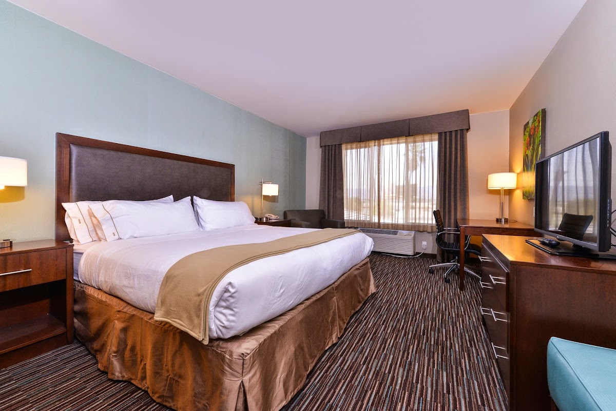 Holiday Inn Express & Suites Indio - Coachella Valley by IHG photo 2