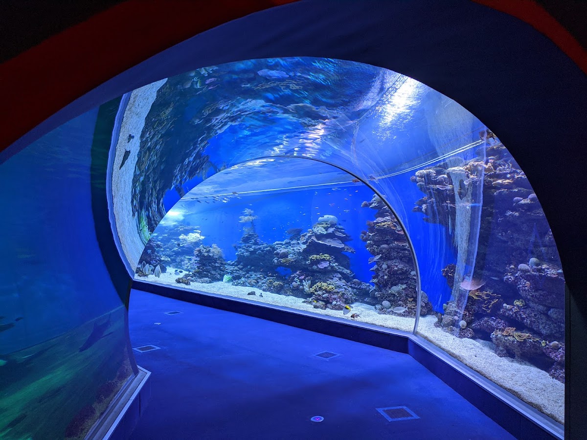 Underwater Observatory Park