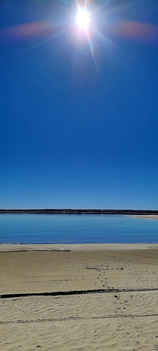 Arthur Bay