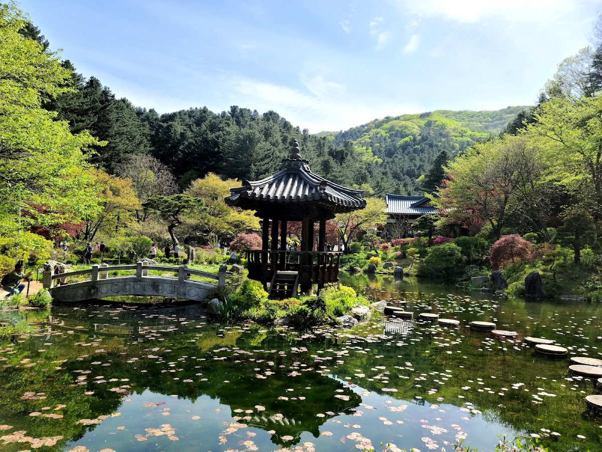 Garden of Morning Calm