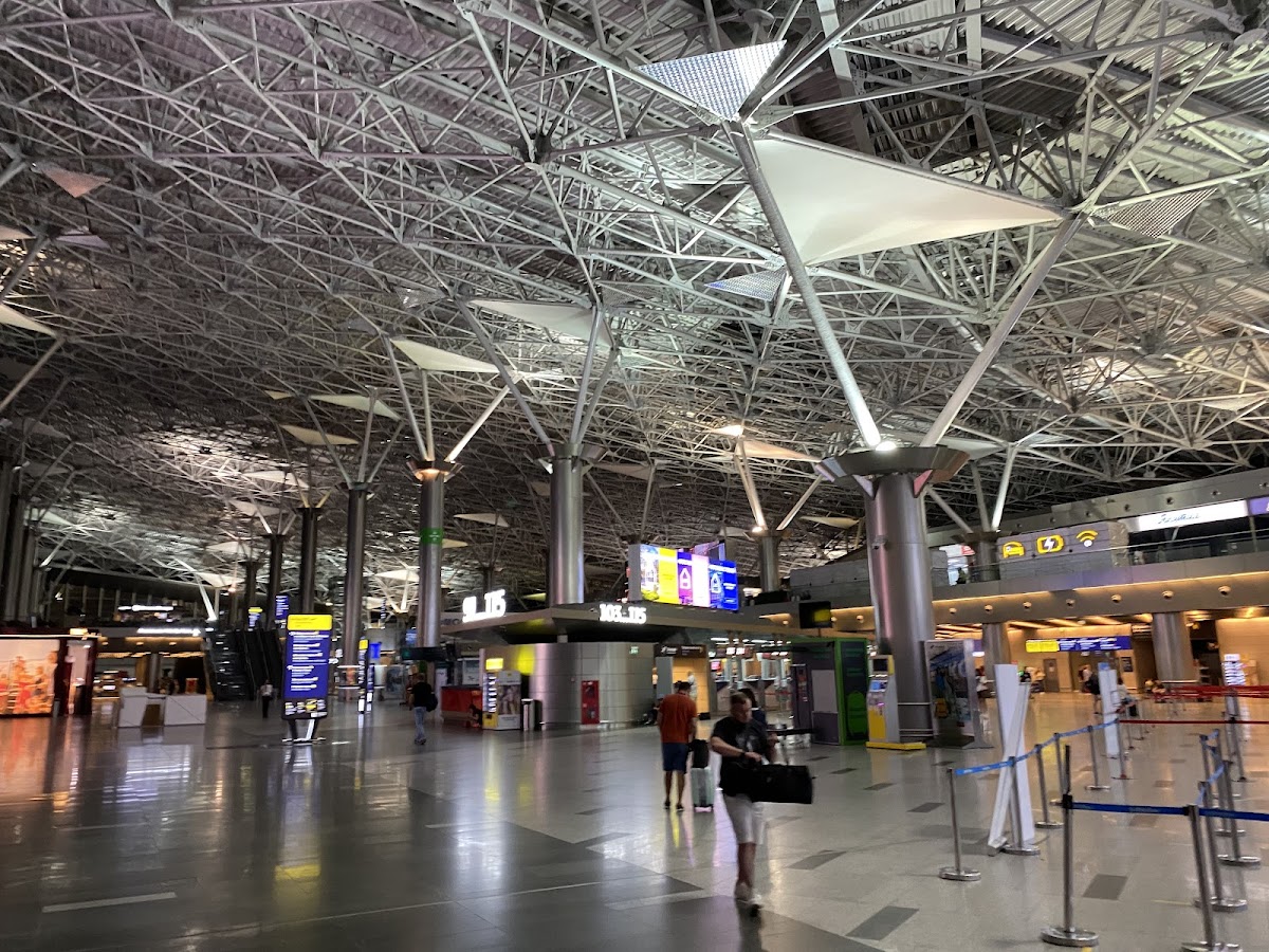Vnukovo International Airport