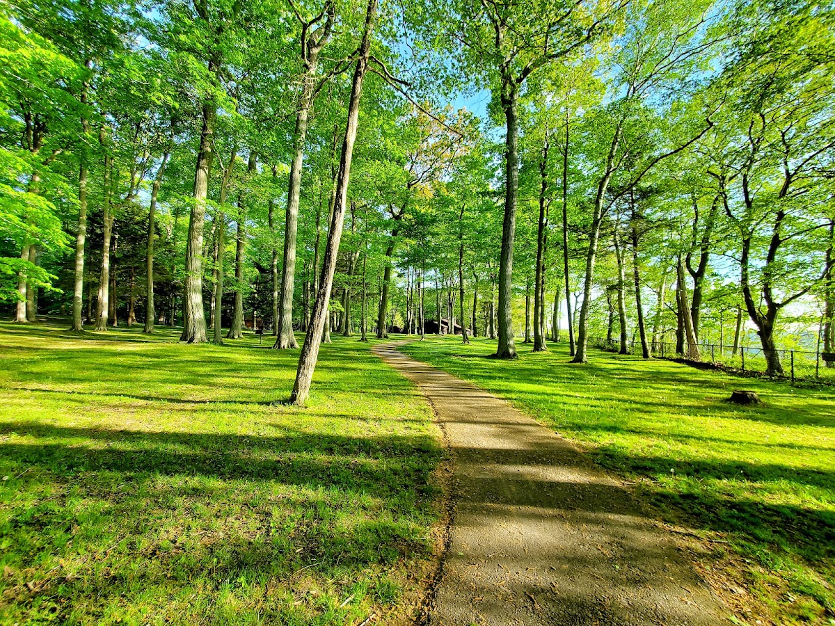 Selkirk Shores State Park