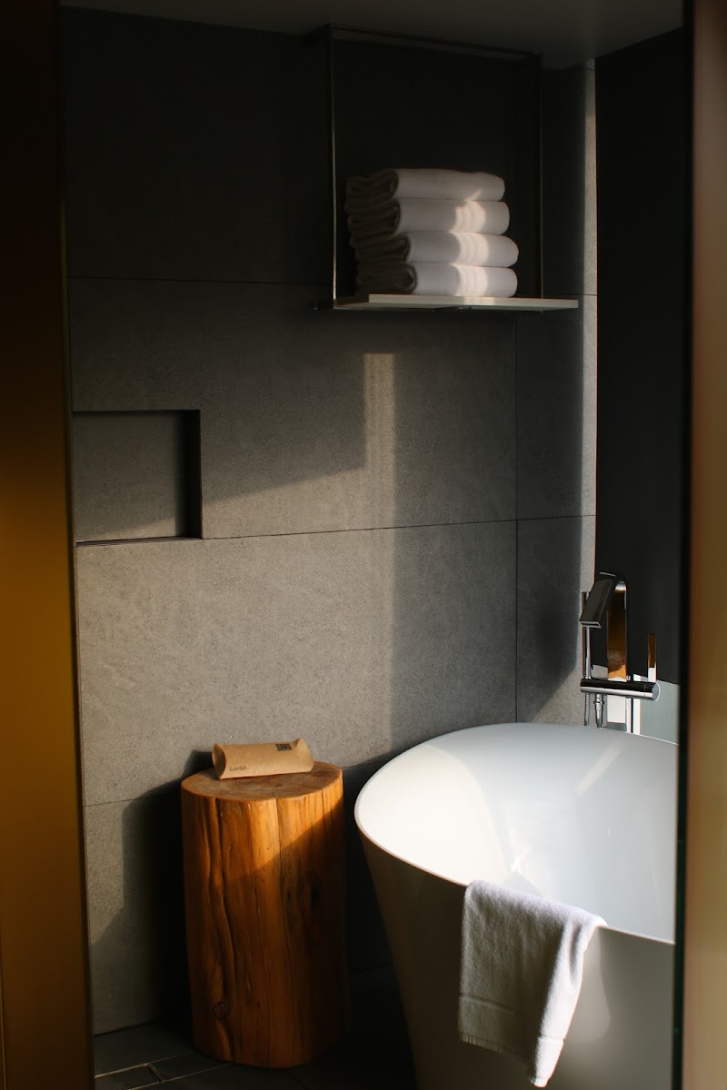 Mondrian Mexico City Condesa photo 3