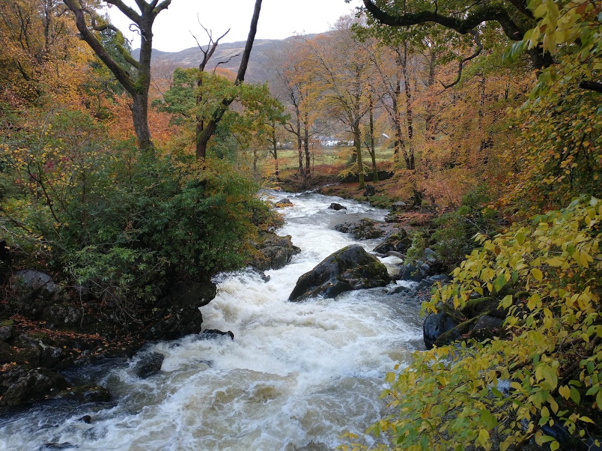 Plas Tan y Graig B&B Guest House photo 3