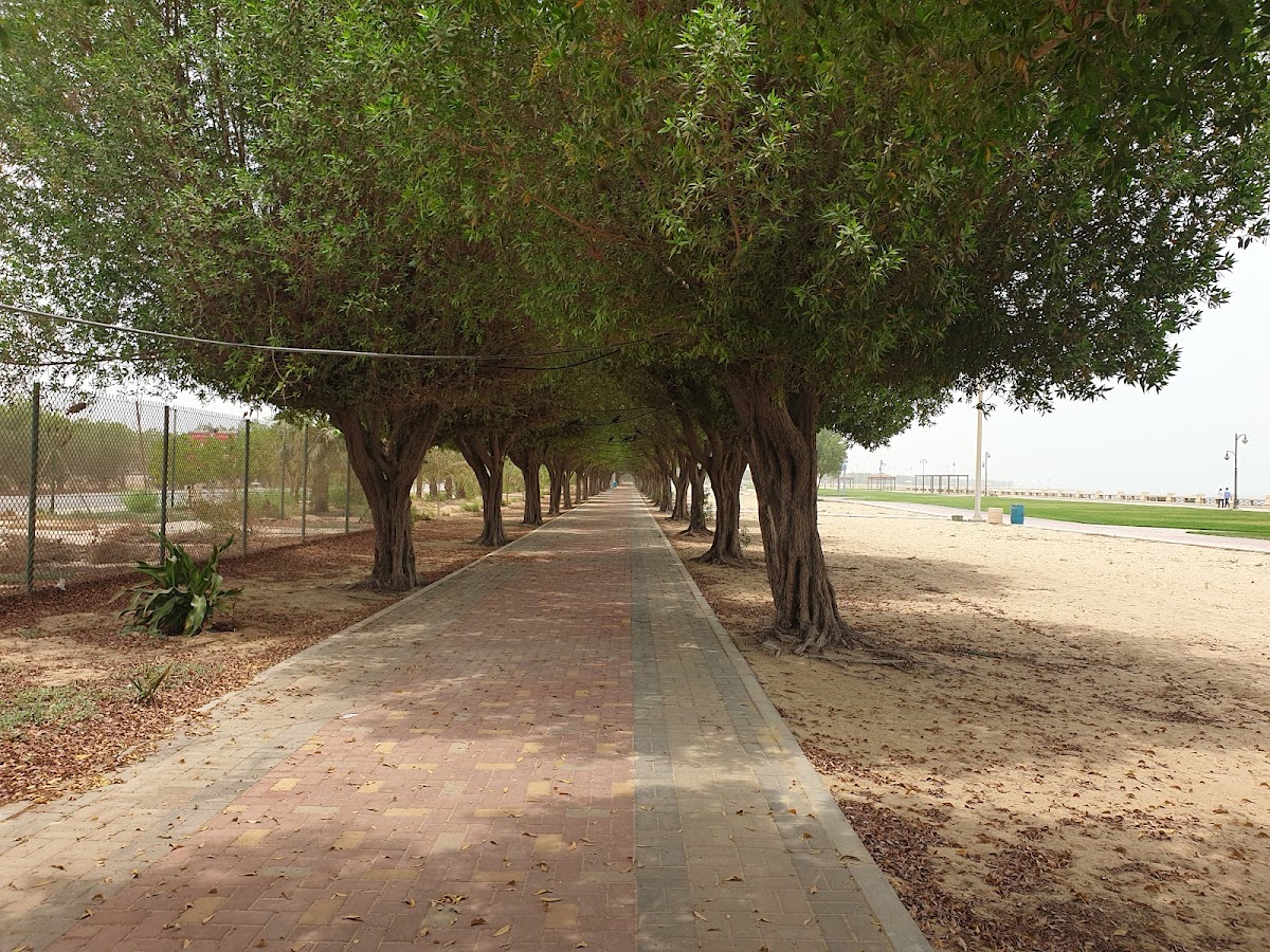 Jubail Beach