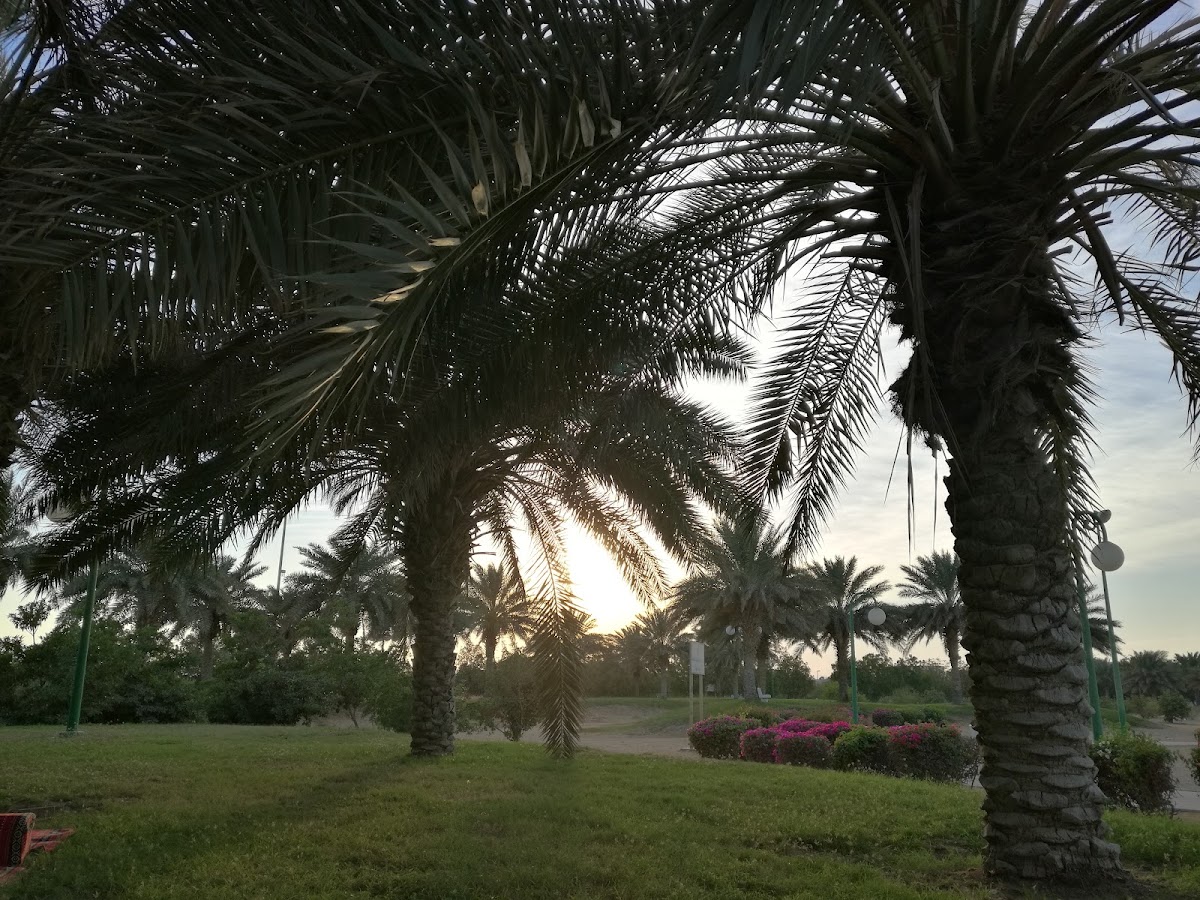 Al Fairouz Park
