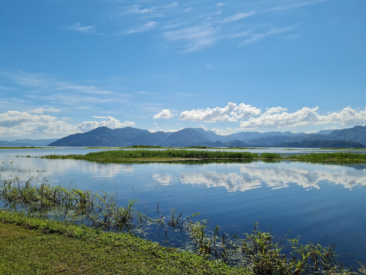 Lake Yojoa
