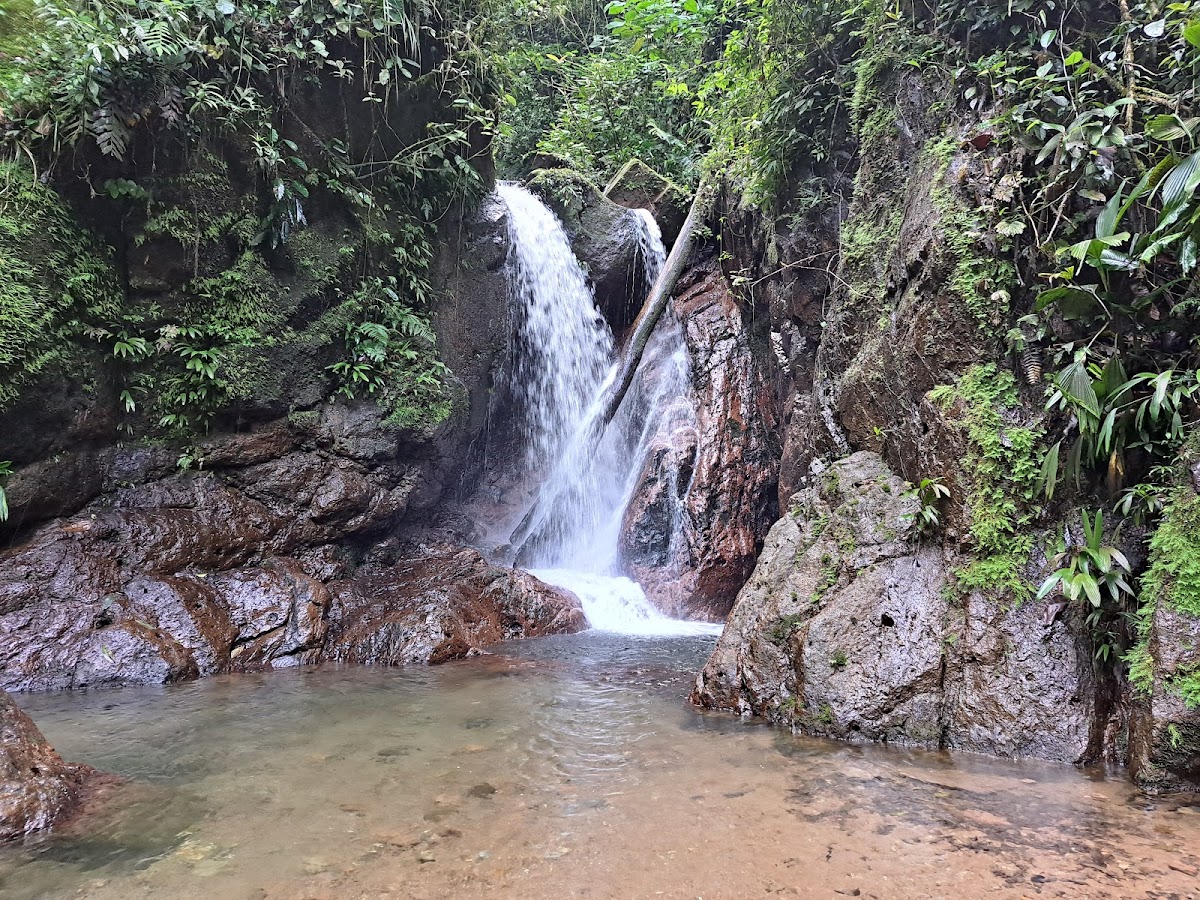 Parque Nacional Cerro Azul Meámbar