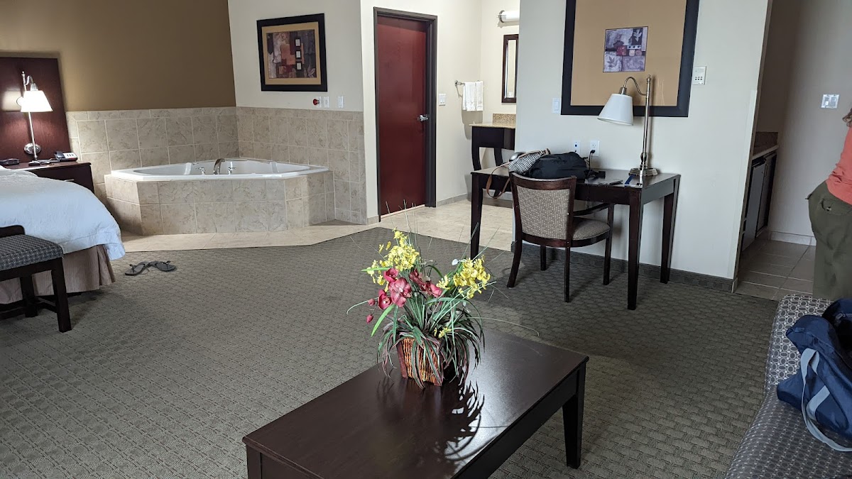 Hampton Inn & Suites Dumas photo 2