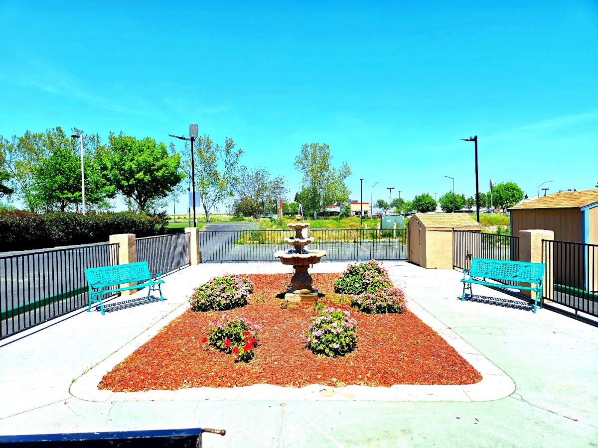 Peach City Inn photo 3