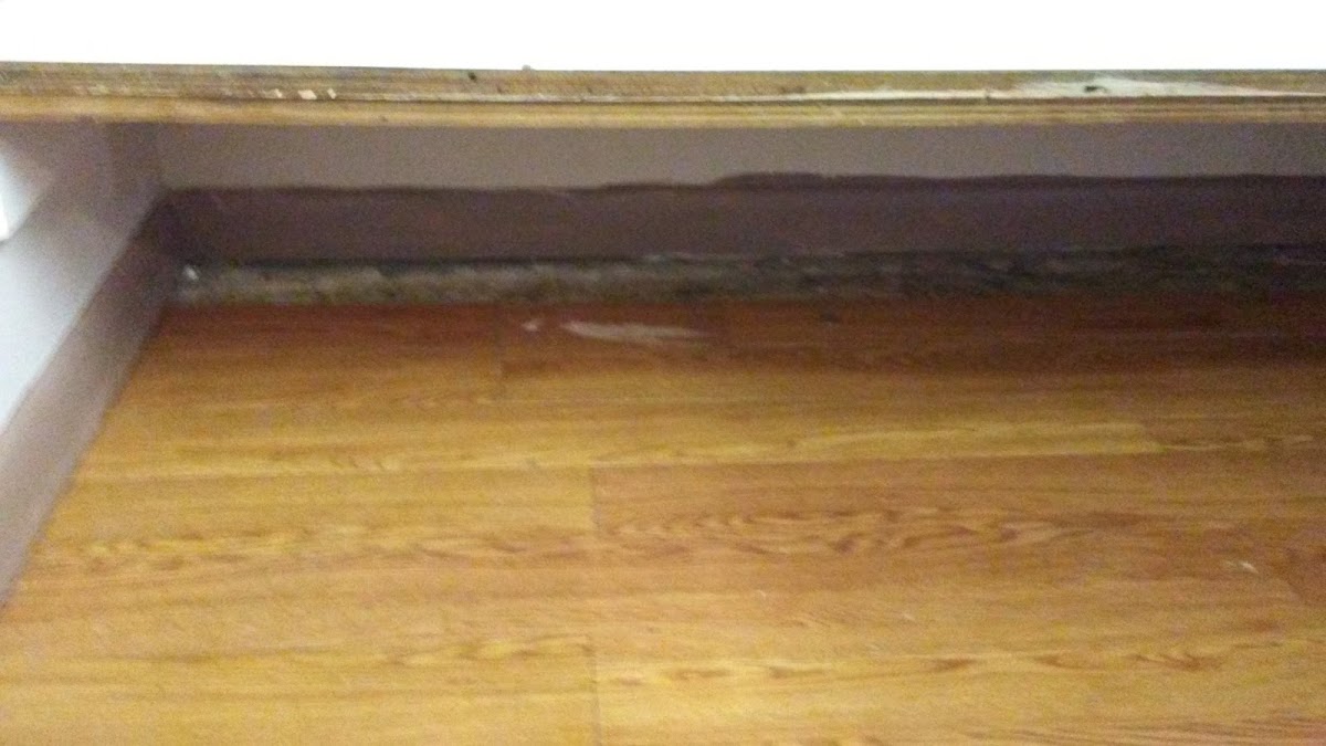Four Flags Inn photo 3