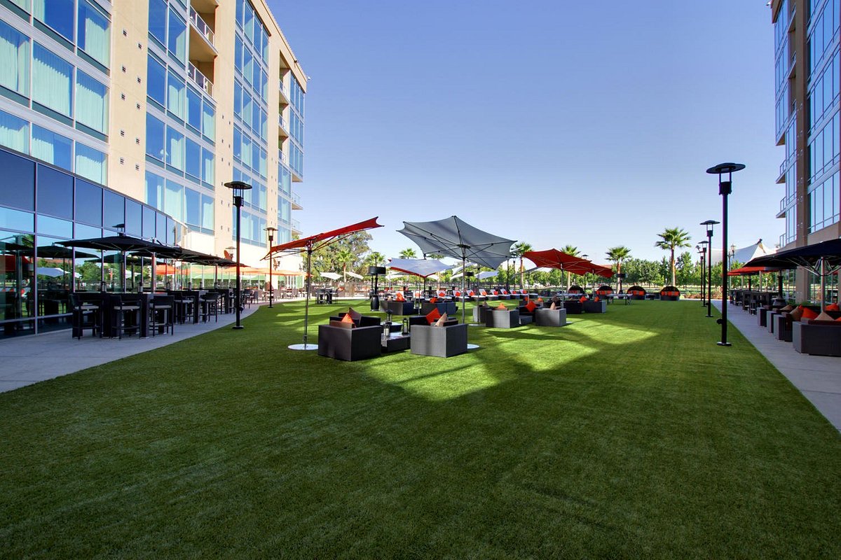 University Plaza Waterfront Hotel photo 3