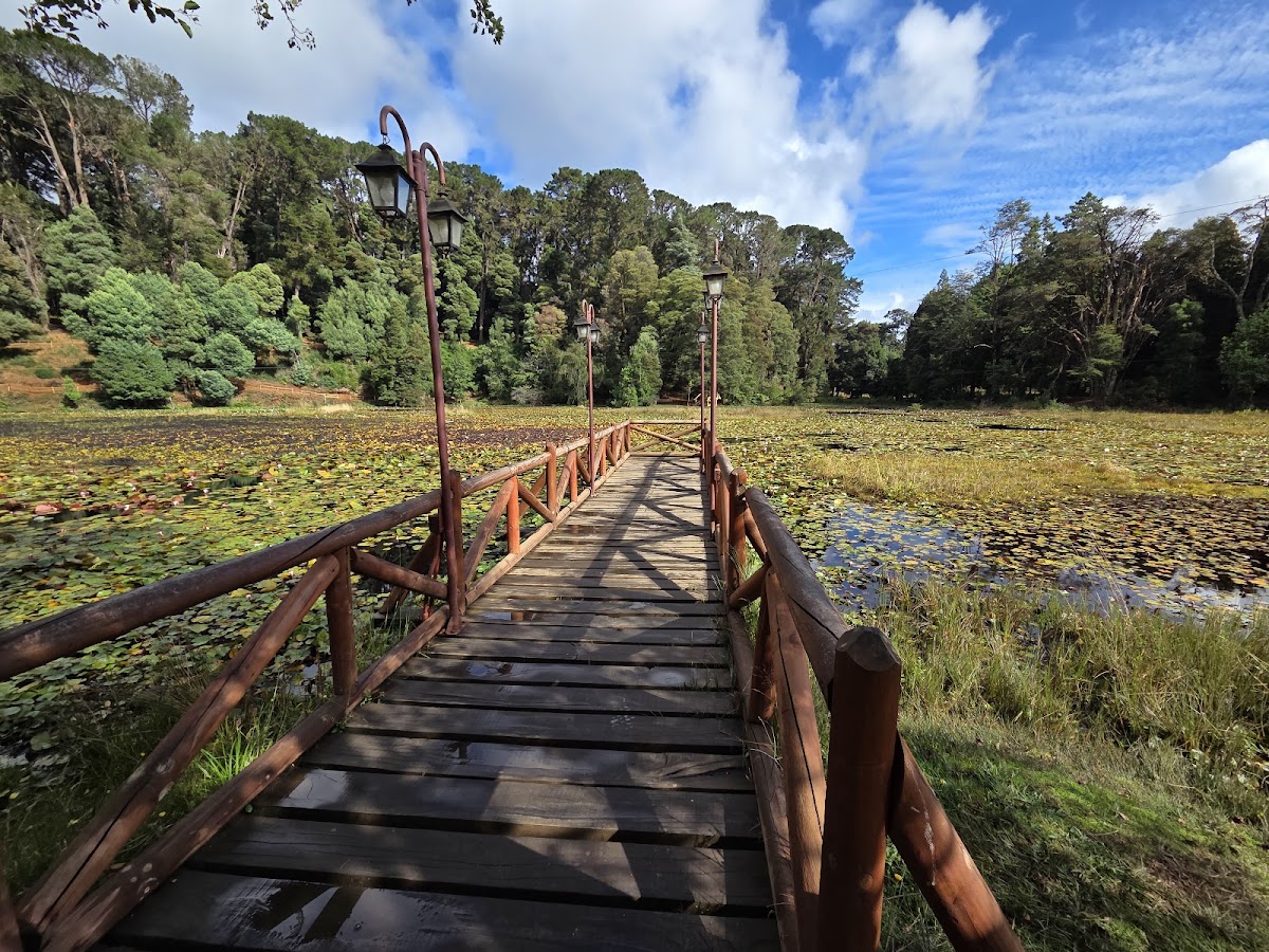 Parque Saval