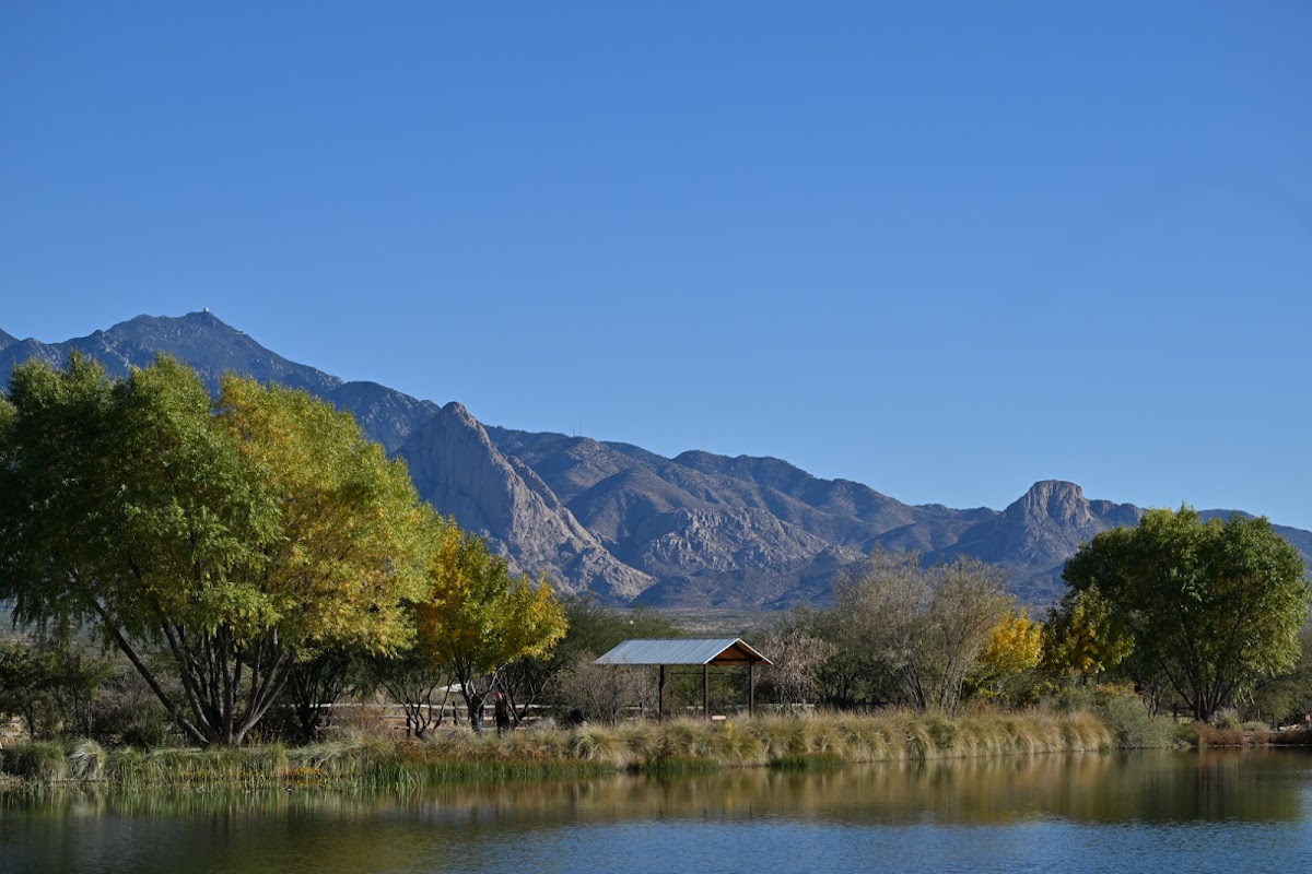 Historic Canoa Ranch | Pima County